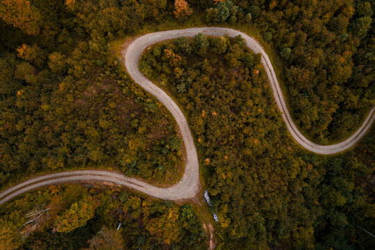 Austria,&Ocirc;&oslash;&Omega;Lower Austria, Aerial view of winding gravel road through vast autumn forest