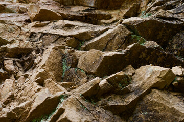 rocks for rocks