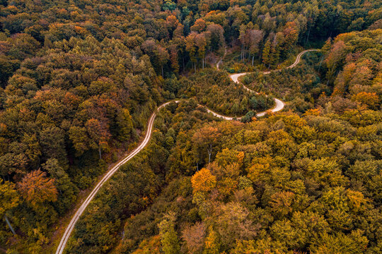 Austria,&Ocirc;&oslash;&Omega;Lower Austria, Aerial view of winding gravel road through vast autumn forest