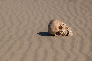A dummy of a human skull lies on the sand in the desert
