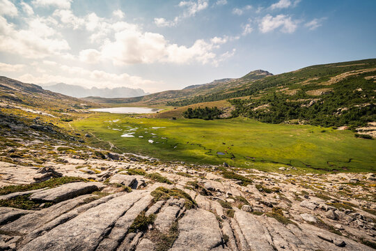 High plateau near Lac de Nino, Albertacce, Corsica, France
