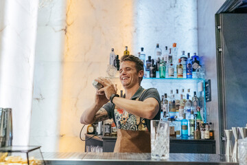 Bartender mixing cocktail in a bar, using cocktail mixer