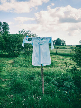 Ssarecrow on a meadow