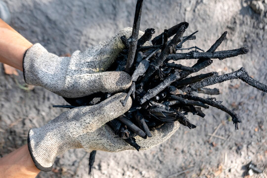 Hands holding self made charcoal outdoors