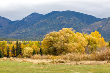 autumn landscape in the mountains near Whitefish, Montana