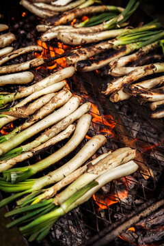 Calcots on barbecue mill outdoors