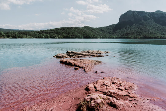 Brown-colored lakeshore with forest in background