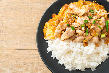 stir-fried pork with garlic and egg topped on rice