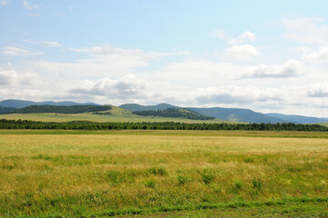 Endless fields at the edge of the forest at the foot of the mountain range on a sunny summer day.