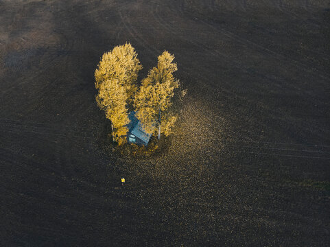 Finland, Kuopio, woman in yellow rain jacket walking towards autumnal trees, aerial view