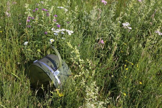 Hatbox on a flower maedow