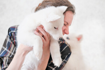 woman holding and embracing yakutian laika puppy while he looking aside. white dog on female hands. partial view. pet friends and care for domestic animals.
