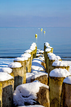 Switzerland, Arbon, Lake Constance, wooden stakes at the lakeshore in winter