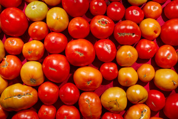 Fresh, ripe heirloom  tomatoes at a farmer's market, Lancaster County, Pennsylvania, USA