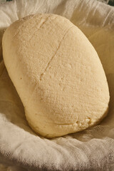 A fresh piece of Amish Vinegar Cheese. sometimes called Farmer Cheese
