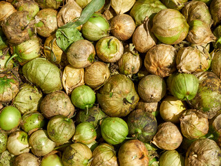 fresh, whole, tomatillos at the Corona Farmers Market, Queens, New York City, NY, USA