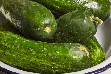 A bowl of fresh, ripe, Kirby cucumbers