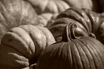 Pumpkins, sometimes called squash or marrow, on sale at a roadside market in Amish Country,...