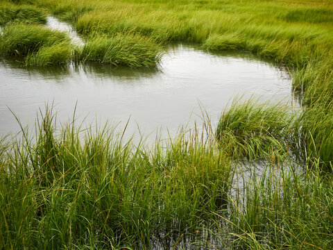 Marine Nature Study Area, Oceanside, NY.