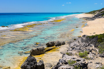 Bahamas Ocean Views 899