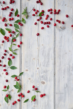 Green twig and Cornelian cherries (Cornus mas) on white wooden surface