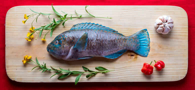 Tray with raw parrotfish