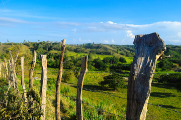 Dominican Republic North Island 983 © JOSEPH
