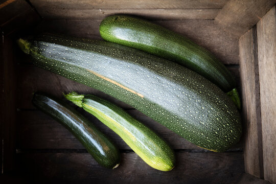 Germany, Box with different-sized zucchinis