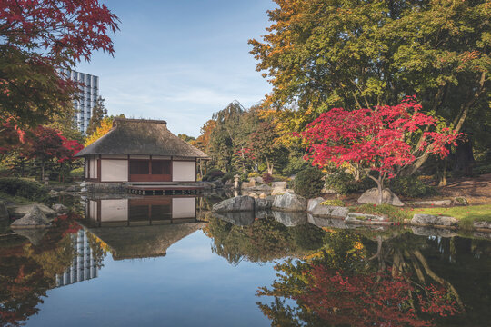 Germany, Hamburg, Shiny pond and Japanese teahouse in Planten un Blomen park