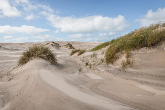 Denmark, Skagen, Sand Of Migrating Rabjerg Mile Dune