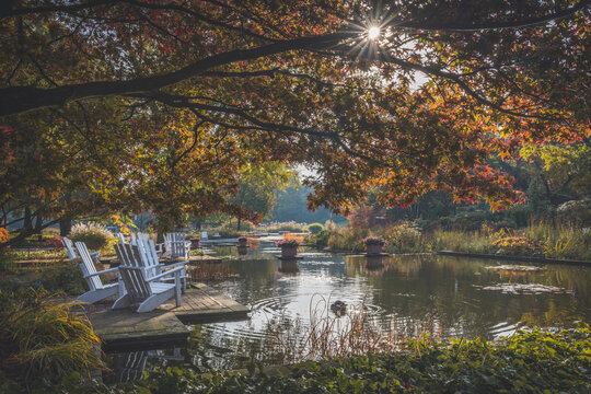 Germany, Hamburg, Planten un Blomen pond in autumn