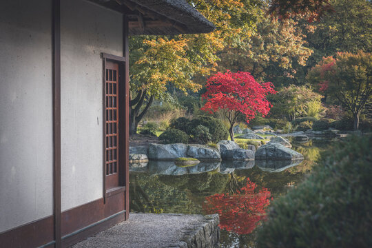 Germany, Hamburg, Shiny pond and edge of Japanese teahouse in Planten un Blomen park