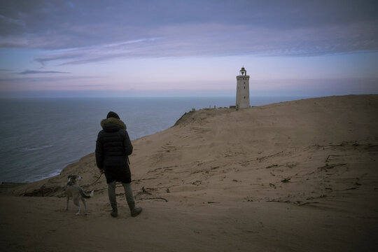 Denmark, North Jutland, back view of man with dog looking at Rubjerg Knude Lighthouse at blue hour