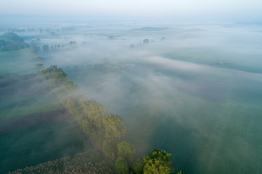 Germany, Bavaria, Aerial view of morning fog shrouding row of countryside trees