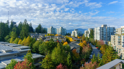 Fototapeta na wymiar Plentiful trees throughout Univercity Highlands residential community on Burnaby Mountain, BC showing off Fall colours