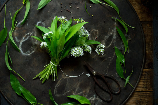 Scissors and bundled ramson on rustic baking sheet