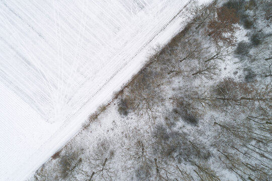 Wood boundary to snow-covered agricultural fields seen from above