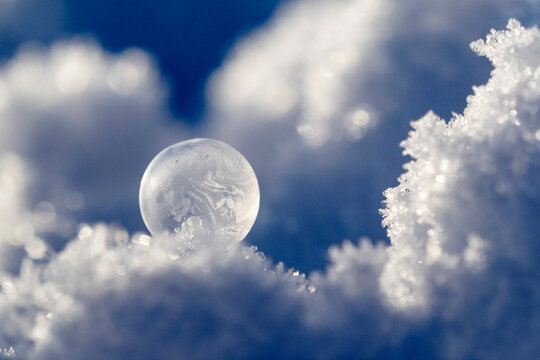 Frosted bubble in winter