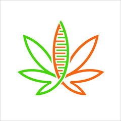 marijuana or cannabis with DNA