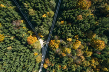 Germany, Baden-Wurttemberg, Heidenheim an der Brenz, Drone view of forked road in autumn forest