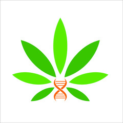marijuana or cannabis with DNA