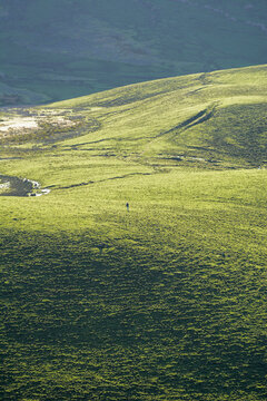 Aerial view of woman on green landscape during sunny day, Corvo, Azores, Portugal