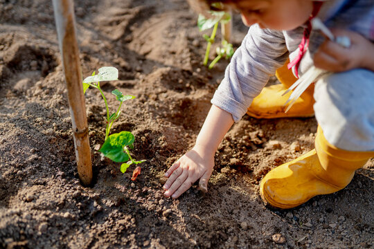 High angle view of cute girl planting at orchard