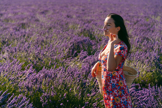 Portrait of beautiful woman smelling lavender blooming in vast countryside field