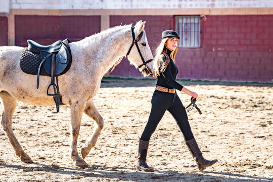 Woman leading horse in paddock