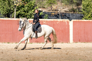Woman horseback riding in paddock