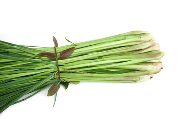 Lemongrass or Cymbopogon citratus isolated on white background.