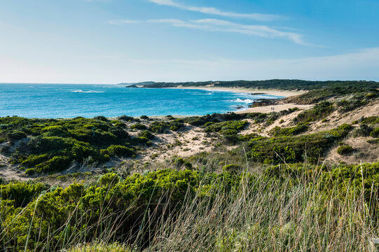 Beach near Cape Jaffa, South Australia, Australia