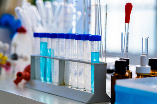 Tubes arranged on rack at laboratory