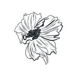 Graphic linear drawing of flower. Bud. Sketch of a tattoo. Floral element. 